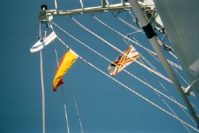 Oscar flag flying